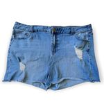 Lane Bryant  Weekend Raw Hem Denim Short Size 24 Photo 0
