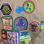 Girl Scouts Tan Adult Photo 2