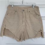 American Eagle  Outfitters Women's Tan Distressed Shorts Photo 0