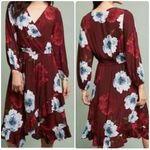 Anthropologie Plenty by Tracy Reese Aleah Floral Ruffle Hem Dress Photo 1