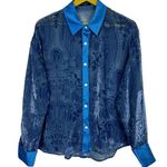Y2K Meritt Velvet Burnout Satin Button Up Top Small Paisley Blue Long Sleeve VTG Photo 0