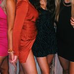 ZARA Zebra Dress Photo 4