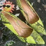 Heels Stylish Yellow Snake Print Women's Shoes by Rouge 6 Photo 0