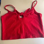 Princes & Fox Prince Fox Crop Top Photo 5