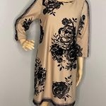 Chadwick's Chadwick’s 3/4 Sleeve Tan and Black Floral Dress With Raised Floral Print Size 4 Photo 0