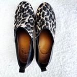 Tabby Leopard Print Leather Upper Ankle Booties Black Accent Size 6.5M Brown Photo 5