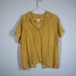 Anthropologie  Maeve Classic Surf Shirt Size Large Photo 3