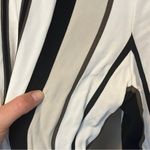 Lafayette 148 New York Hester Striped Wide-LegPull On Viscose Pants Sz M Photo 5