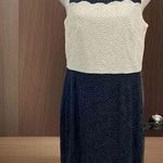 Karl Lagerfeld  Navy Blue White Color‎ Block Lace Sheath Dress Size 4 Sleeveless Photo 0