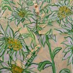 Lilly Pulitzer New  Elsa Top Long Sleeve Blouse Limoncello Sunbelievable Small Photo 6