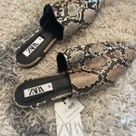 ZARA Snake Print Pointy Toe Slide Photo 0