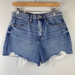 BLANK NYC The Reeve High Rise Ribcage Shorts Size 29/8 NEW Photo 0