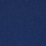 Garage Bikini Bottoms Photo 5