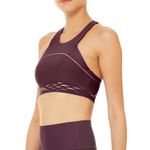 Alo Yoga Alo Purple Sports Bra Sequence Bra Photo 1