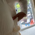 BCBG Max Azria Elegant and chic ivory dress Photo 6