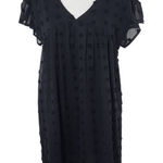 Entro  Black Babydoll Dress with Swiss Dot Pattern Size Small Black Mini Dress Photo 0