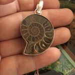 Fossil Ammonite  Silver Pendant Photo 2