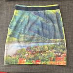 Anthropologie  Meadow Rue River School Skirt Photo 1