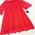 Gabby Skye  Lace Overlay Cocktail Dress Photo 1