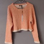 Koral Women's  Valor Sweater Knit Crop Top in tango Photo 4