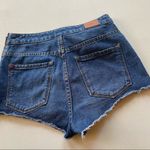 Urban Outfitters  BDG High Rise Lace Up Jean Shorts Photo 7
