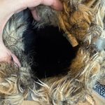 Sorel  Joan of Arctic Tall Pull On Cinchable Rubber & Suede Winter Boots, 9 Photo 9