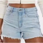 American Eagle ‎ Daisy Embroidered Mom Short Size 8 Photo 1