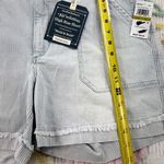 Democracy Womens Size 14 AbSolution High Rise Shorts Blue Stripe Frayed Hem Photo 2