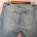 PacSun  ANKLE JEGGING STRIPED SIDE RAW ANKLE JEANS 28 Photo 8