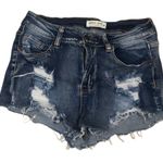 Hammer Jeans Distressed Blue Jean Shorts with Raw Hems Photo 0