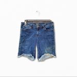Max jeans ‎ Cut-Off Denim Shorts Photo 8