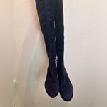 Stuart Weitzman Greer city blue suede knee high winter fall preppy long boots Photo 4
