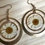 Real Pressed Daisy Resin Earrings in Gold Tone Circles Photo 3