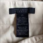 The Limited  Skirt Photo 3