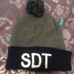 Delta Sigma  tau Pom Pom beanie Photo 0