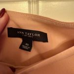 Ann Taylor Beautiful  hombre skirt Photo 2