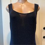 Alex Evenings  Sparkly Maxi Dress navy blue Plus Size 18 sleeveless semi sheer Photo 1