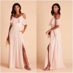 Birdy Grey  Jane Convertible Chiffon Dress In Pale Blush Photo 1