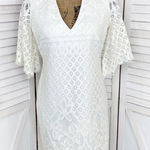 Alexia Admor  Lace Front Bell Sleeve Sheath Dress Small Ivory‎ White Half Sleeve Photo 0