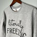 Tultex  Literally Freezing gray pullover sweatshirt long sleeve spell out medium Photo 1