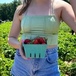 Le lis  Light Green Satin Crop Top Photo 2