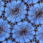 Anthropologie ELEVENSES
Blue Brown Floral Daisy Eyelet Gerbera Short‎ Size 12 Blue Photo 10