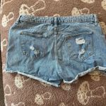 Arizona Jeans Arizona Jean Shorts Co Photo 1