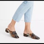 Madewell  Remi Mule Spiced Cider Snake Print Photo 2