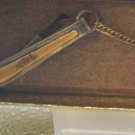 Vintage sweater guard. And the original box. Genuine cloisonné. 8 inches long Photo 1