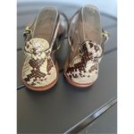 Coach NWT Sieannah Snake Print Leather Thong sandals 11B Photo 4