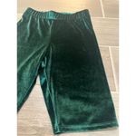Urban Outfitters  nwt velvet green biker shorts size small Photo 1