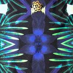 Nanette Lepore Swim Bikini Bottoms Size S Black Floral Crochet Tropical NEW Photo 3