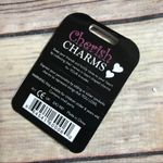 Cherish Charms‎ Blow Dry Baby Pink Hair Dryer Charm Bracelet NEW NWT Silver Photo 1