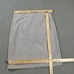 Banana Republic  Pencil Skirt Women 10 Blue White Striped Classic Business Casual Photo 2